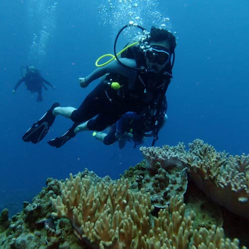 PADI Open Water Diver